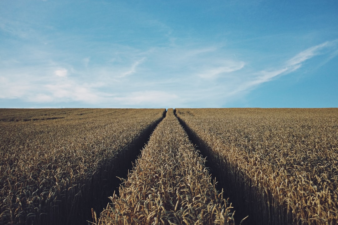 Photo Rural landscape